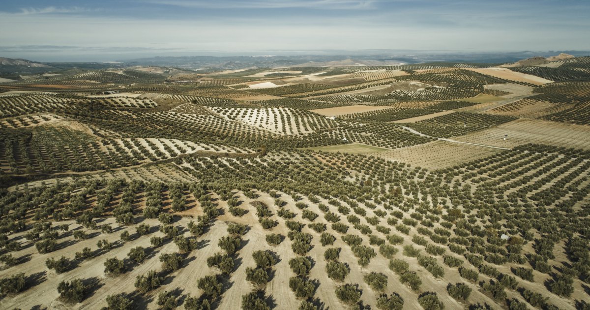 El rincón de Jaén desde donde se exportaba aceite a Roma hace 2.000 años